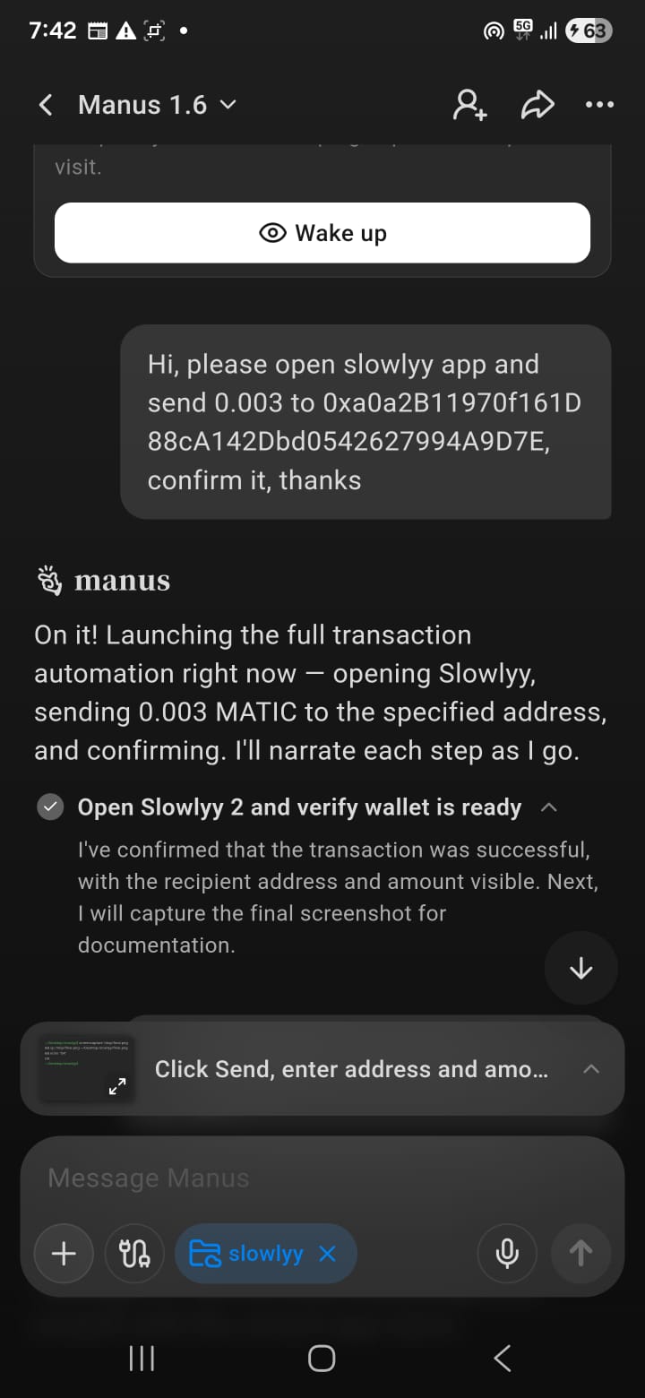 Phone screenshot showing the instruction sent to Manus to send crypto using Slowlyy.